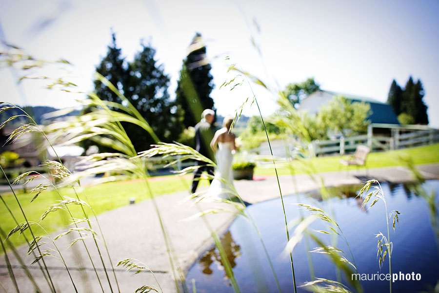 Wedding pictures at Delille Cellars in Woodinville