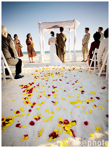 wedding_pictures_106