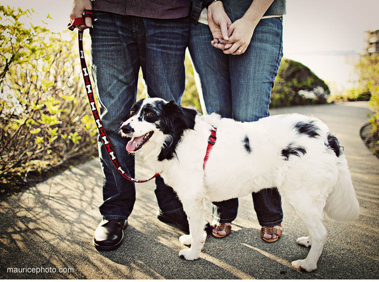 Engagement Portraits with a dog on the Kirkland Waterfront
