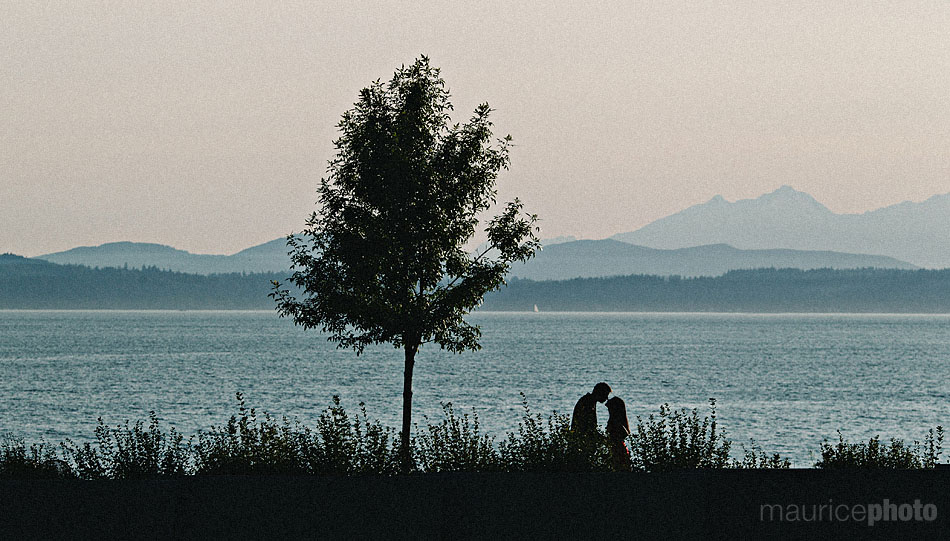 Panoramic view of Elliott Bay from the SAM Sculpture Park. 