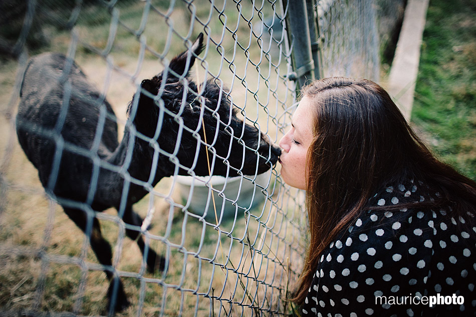 kissing alpacas at Delille Cellars