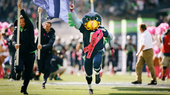 Blitz the Seahawk Mascot