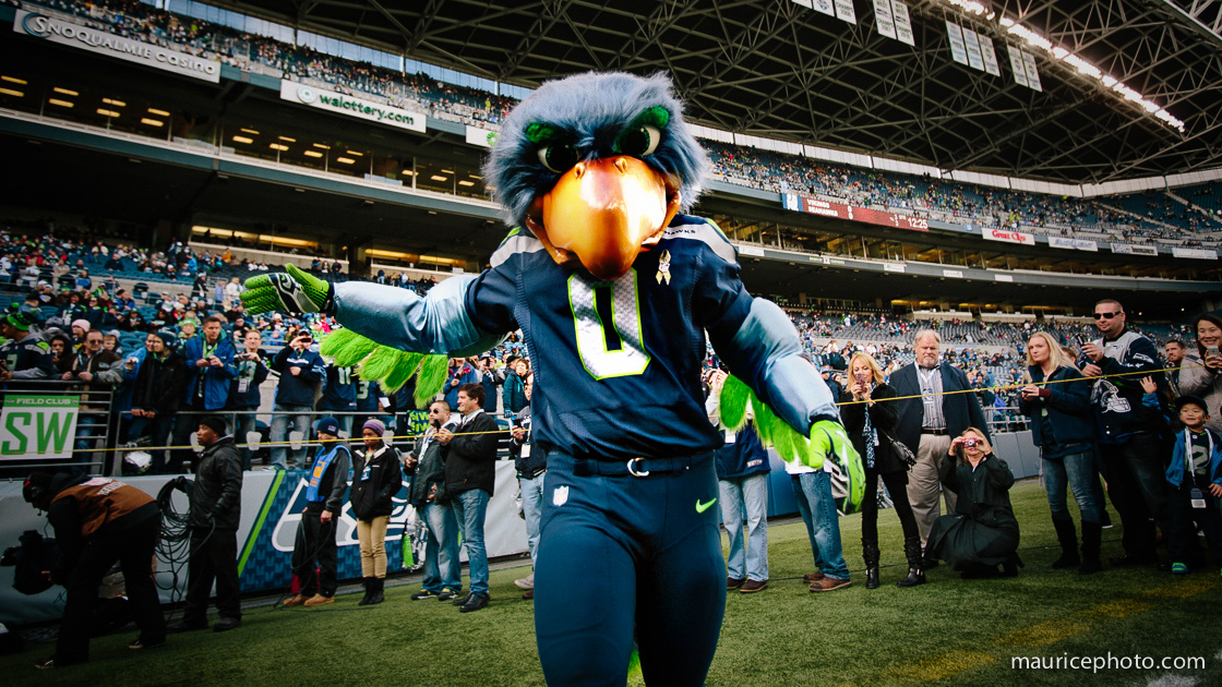 Seattle Seahawks - NFL Photos.